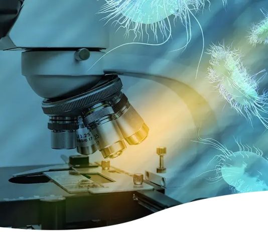 Antimicrobial Peptide Development to Drive Forward Drug Development Against Superbugs